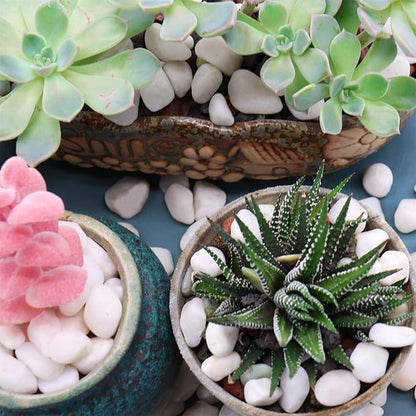 White Rocks - 3/8 Inch. Decorative Polished Pebbles for Garden, Succulents, Vase Fillers (XSM 0.375 Inch - 5 lbs) perfection