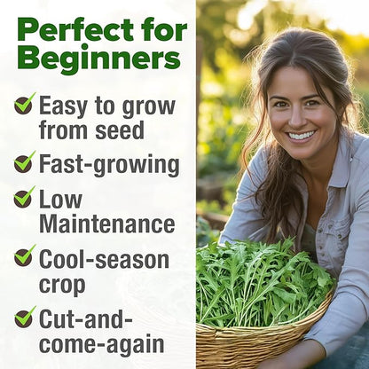 HOME GROWN Arugula Roquette Seeds 2,175+ Heirloom Non-GMO Seeds for Planting, High Germination, Fast Growing Peppery Salad Greens, Indoor Outdoor Hydroponic Garden, Microgreens (Eruca vesicaria)