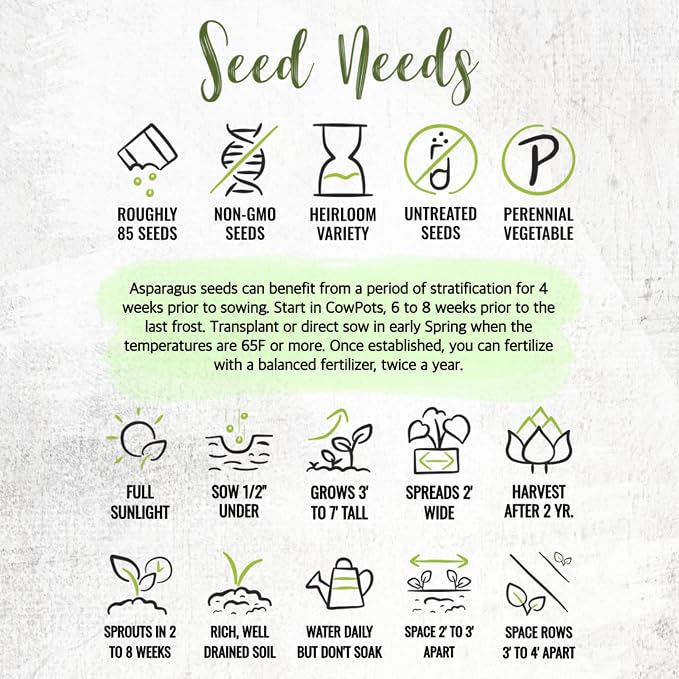 Seed Needs Mary Washington Asparagus Seeds to Plant Heirloom 5 Packs
