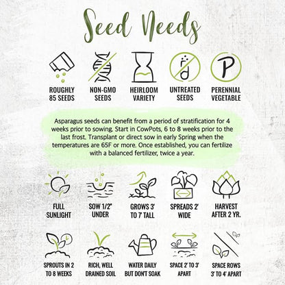 Seed Needs Mary Washington Asparagus Seeds to Plant Heirloom 2 Packs