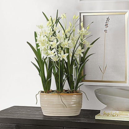 Uttermost 60227 Ariana Orchid - Planter-24.38 Inches Tall and 16.75 Inches Wide