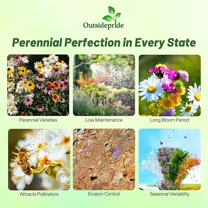 Outsidepride Perennial Wild Flower Seed Mix - 1 lb. Diverse, Long-Lasting Blooms, Easy to Grow Perennial Flower Seeds for All States, Perfect for Home Gardens, Landscapes, and Attracting Pollinators