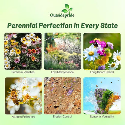 Outsidepride Perennial Wild Flower Seed Mix - 1 lb. Diverse, Long-Lasting Blooms, Easy to Grow Perennial Flower Seeds for All States, Perfect for Home Gardens, Landscapes, and Attracting Pollinators