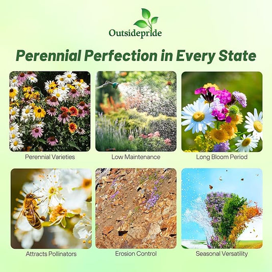 Outsidepride Perennial Wild Flower Seed Mix - 1 lb. Diverse, Long-Lasting Blooms, Easy to Grow Perennial Flower Seeds for All States, Perfect for Home Gardens, Landscapes, and Attracting Pollinators
