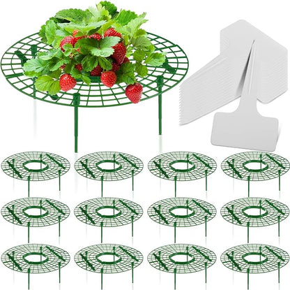 Irenare 12 Pack Strawberry Plant Support with Plant Labels Large Size Strawberry Growing Racks Growing Frame Stand Holder for Keeping Garden Strawberry Clean