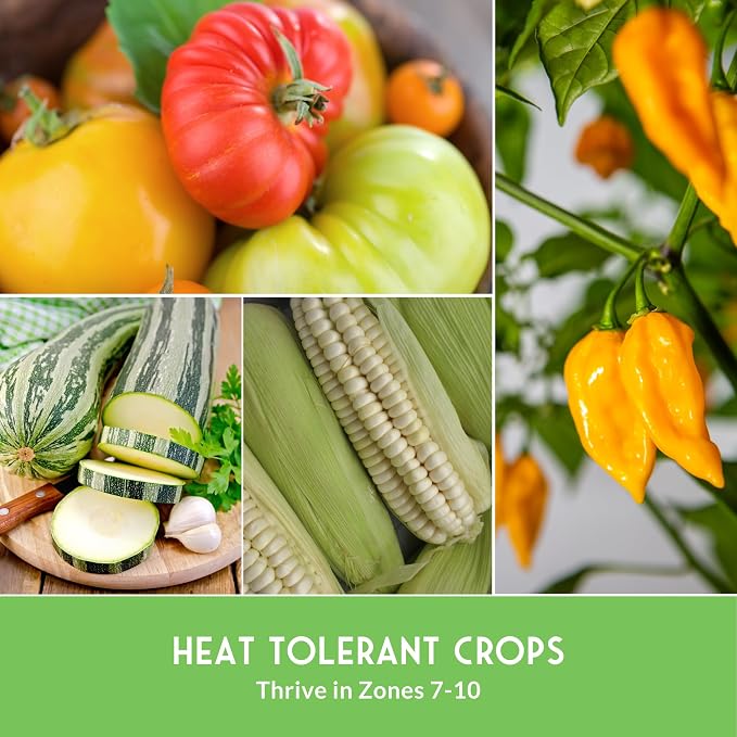 Southern Vegetable Seeds Collection – 15 Heirloom Heat Loving Vegetables Variety Pack for Planting – Okra, Collard Greens, Purple Hull Peas, Dent Corn – Survival Garden Seeds