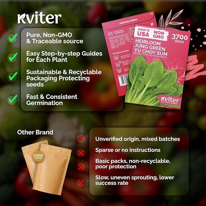 KVITER 3700 Jung Green Yu Choy Sum Seeds (Brassica Rapa VAR Parachinesis) - Chinese Flowering Cabbage, Fast Growing, Heirloom, Non GMO Seed Packets - Vegetable Seeds for Outdoor Garden, Raised Beds