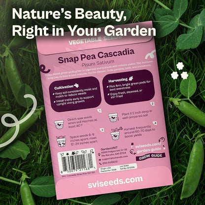 SVI 120 Cascadia Snap Pea Seeds (Pisum sativum) – Sugar Snap Peas, Sweet Peas Seed Packets, Pea Snaps Garden Seed Pack – Heirloom Vegetable Seeds Vegetable Garden, Raised Beds, Containers