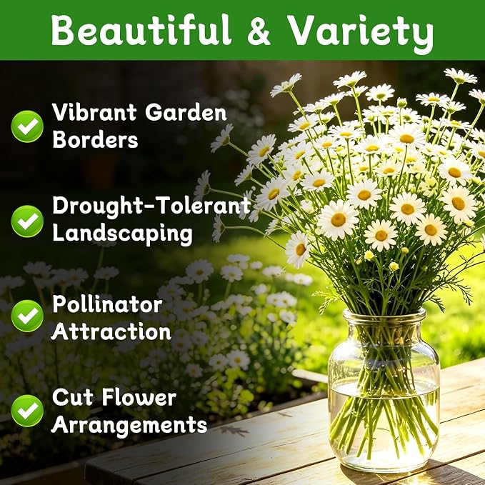LUOJIBIE German Chamomile Seeds, 60,000+ Chamomile Flower Seeds Bulk for Planting Outdoor Indoor Garden, Heirloom & Non-GMO Matricaria Chamomilla/Recutita Herb Seeds, Easy to Grow