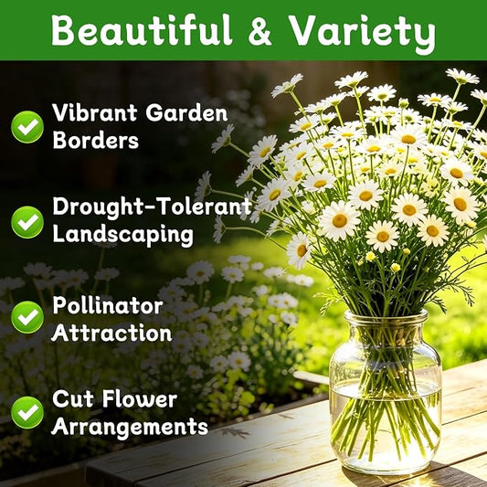 LUOJIBIE German Chamomile Seeds, 60,000+ Chamomile Flower Seeds Bulk for Planting Outdoor Indoor Garden, Heirloom & Non-GMO Matricaria Chamomilla/Recutita Herb Seeds, Easy to Grow
