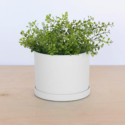 Bloem Mathers 6" White Round Modern Resin Garden Planter Pot with Drainage Holes and Removable Saucer Tray Included