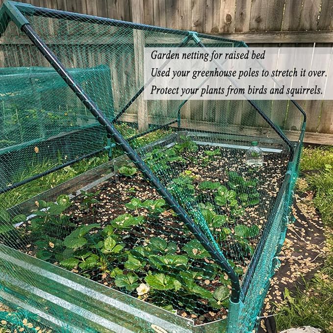 Bird Netting for Garden 6.5X100 FT, 1/4 Inch Mesh, Protect Blueberry, Strawberry, Tomatos, Vegetables. Fruit Tree Netting for Cicadas Against Deers, Squirrels, Bunnies, and Small Critters.