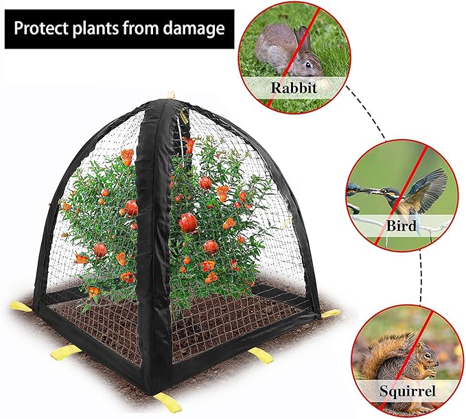 Large Pest Guard Cover-35 x35 x 39 Inch Pest Guard Tent with Stakes-Garden Plants Cloche Tent for Protect Plants Vegetables Fruits Shrubs from Squirrel Bird Eating (L)