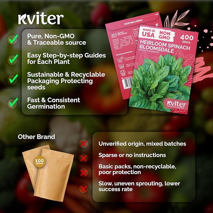 KVITER 400 Bloomsdale Spinach Seeds (Spinacia oleracea) — Non-GMO & Heirloom, Heat Tolerant, Cut and Come Again — Spinach Vegetable Seeds for Planting in Outdoor & Indoor Garden, Containers