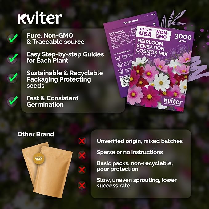 KVITER 3000 Mix Sensation Cosmos Seeds (Cosmos Bipinnatus) – Tall Cosmo Mix in Seed Packets, Butterfly Favorite, Non GMO Seed – Annual Flower Seeds for Outside, Outdoor Flower Garden, Ideal Cut Flower