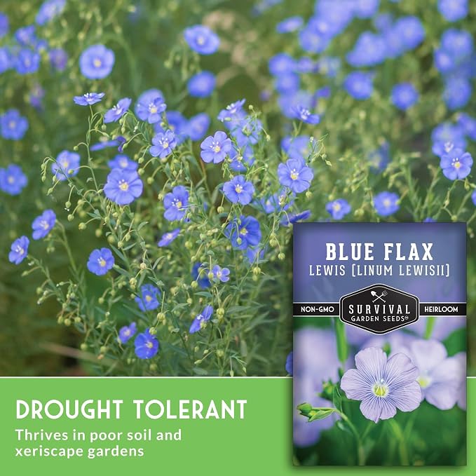 Lewis Blue Flax Seeds for Planting - Plant & Grow Drought Tolerant Native Perennial Wildflowers Your Home Garden - Non-GMO Heirloom Variety - Survival Garden Seeds (1 Pack)