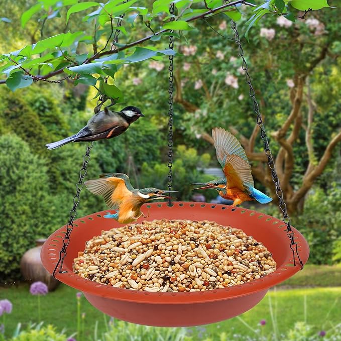 Hanging Bird Feeder Tray 10inch with Drainage Holes Fit Most Seed, Bird-Feeder Hanging for Garden Yard Outside, Terracotta