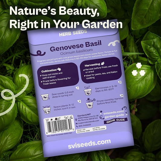 SVI 2000 Genovese Basil Seeds (Ocimum basilicum) – Sweet Basil Seed Packets – Aromatic Non GMO Heirloom Large Leaf Culinary Herb Seeds, Outdoor & Indoor Herb Garden