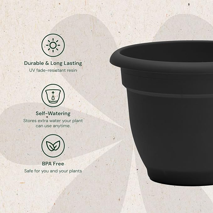 Bloem Ariana 10" Black Round Self-Watering Resin Planter Pot - Rolled Rim Indoor and Outdoor Gardening Planter