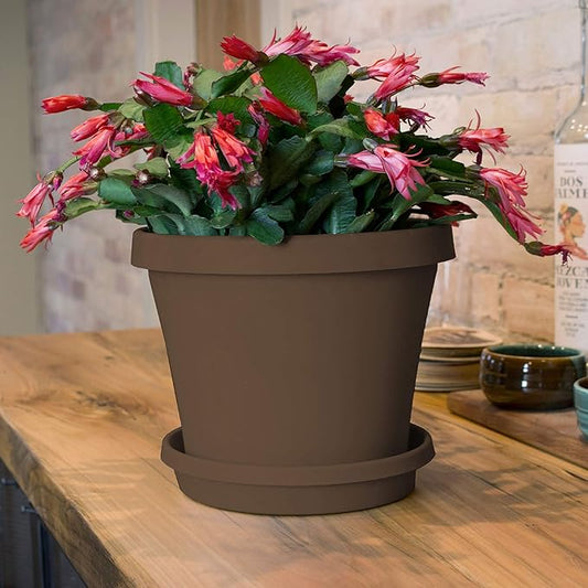 Bloem Terra Resin Saucer Tray: 6.5" Bottom Width - Chocolate Brown - Matte, Durable, Ribbed Bottom, Indoor and Outdoor, Fits 8" Terra Pots