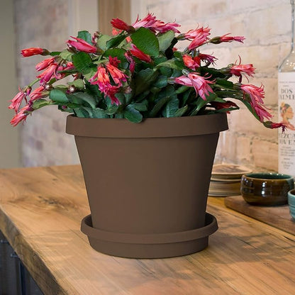 Bloem Terra Resin Saucer Tray: 4.75" Bottom Width - Chocolate Brown - Matte, Durable, Ribbed Bottom, Indoor and Outdoor, Fits 6" Terra Pots