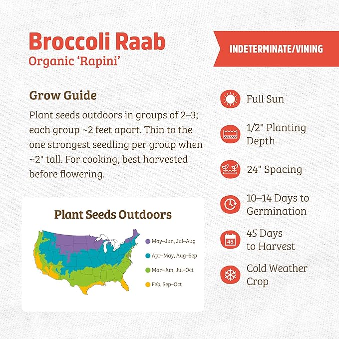 Back to The Roots 100% Organic Heirloom Seeds - Broccoli Raab Value Pack (400mg Total)