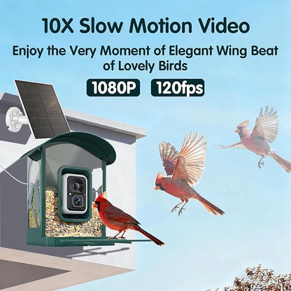 Humbirdy-Bird Feeder with Camera, 8MP Ultra HD Video & Photo, 10x Slow-Motion, 4K 30fps Live View, AI Identify, No Subscription, 2.4G/5G Wi-Fi, Solar Powered, Wildbird Watching Gifts-Metal