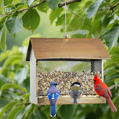 Bird Feeder, Large Capacity Bird Feeders for Outdoor Hanging Hold 4 LB Seed, Heavy Duty Metal Wild Birdfeeder with 2 Perches, Sturdy & Easy to Refill