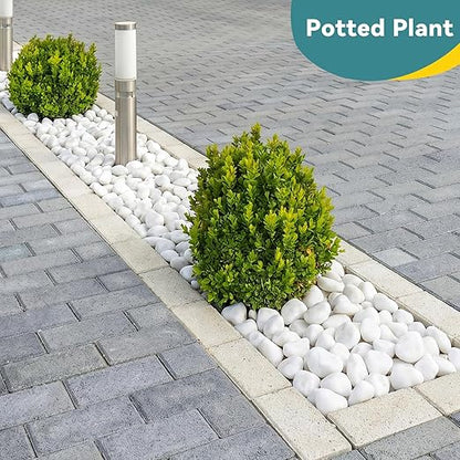 40lbs White Rocks for Landscaping, 2-3 inch Decorative Rocks for Plants Indoor, Large Polished River Rocks for Garden, Outdoor Landscaping, Walkways, Yard, Plants Pots, Vases, Crafts