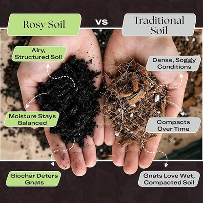 Rosy Soil Plant Food – Microbially Active Fertilizer for Houseplants, Herbs & Flowers – Biochar, Kelp, Worm Castings – Organic Indoor Plant Food – 4 Quarts