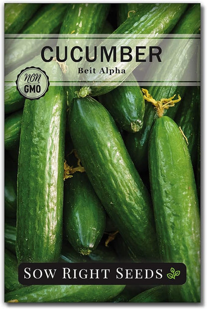 Sow Right Seeds - Beit Alpha Cucumber Seeds for Planting - Non-GMO Heirloom Packet with Instructions to Plant and Grow a Home Vegetable Garden - Start Indoors, Plant Outdoors with Trellis (1)
