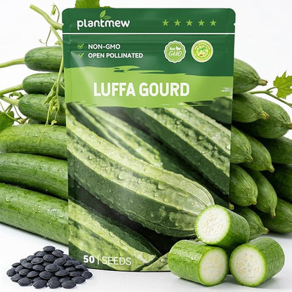 50 Heirloom Luffa Gourd Seeds for Planting – Fast-Growing Sponge Gourd, High Germination, Ideal for Home Garden & Trellis, Annual Vegetable Seeds