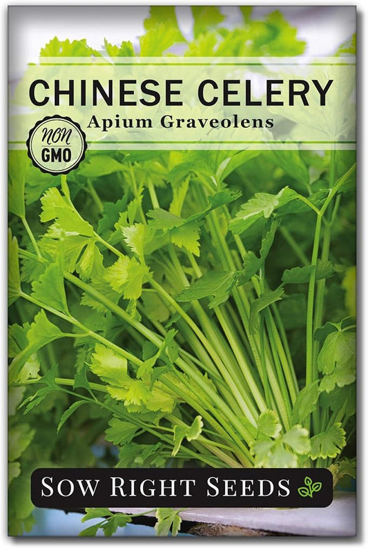 Sow Right Seeds - Chinese Celery Seeds for Planting - Non-GMO Heirloom Packet with Instructions to Plant and Grow a Home Vegetable Garden - Culinary and Compact Herb, Abundant Stalks (1)