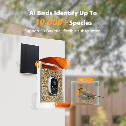 Birdkiss Smart Bird Feeder with Camera Solar, Auto Capture Bird Videos & Motion Detection, Birds Watching Camera Notify in Time, Metal Birds Feeder with Seed Guard, Ideal Present for Mom (Orange)