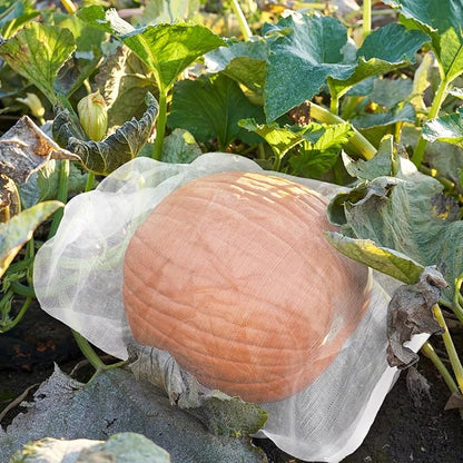 Mesh Fruit Tree Bags, 20 Pack 27 x 19 inch Plants Protection Netting Bags with Drawstring, Insect Bird Bug Barrier Net Cover for Garden Flower Bananas Vegetables Fruits Tree Shrub
