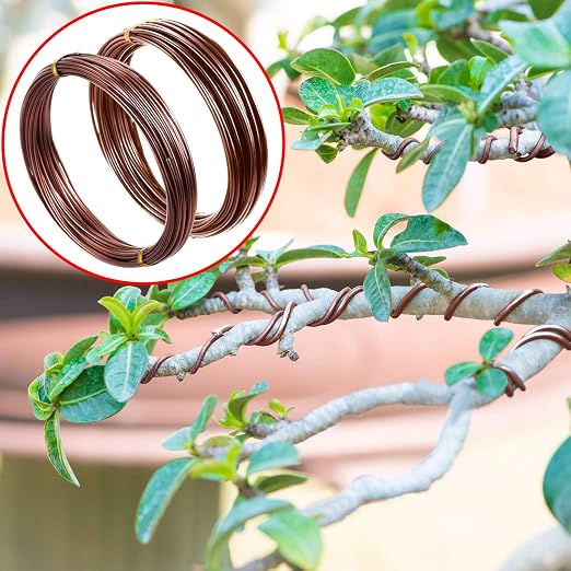 Mudder 5 Roll Aluminum Bonsai Training Wire Tree 160 Feet Total with Bonsai Wire Cutter Anodized Training for Holding Branches Small Trunks(1/1.5/2.0mm,Brown)
