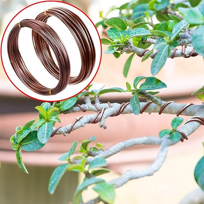 Mudder 5 Roll Aluminum Bonsai Training Wire Tree 160 Feet Total with Bonsai Wire Cutter Anodized Training for Holding Branches Small Trunks(1/1.5/2.0mm,Brown)