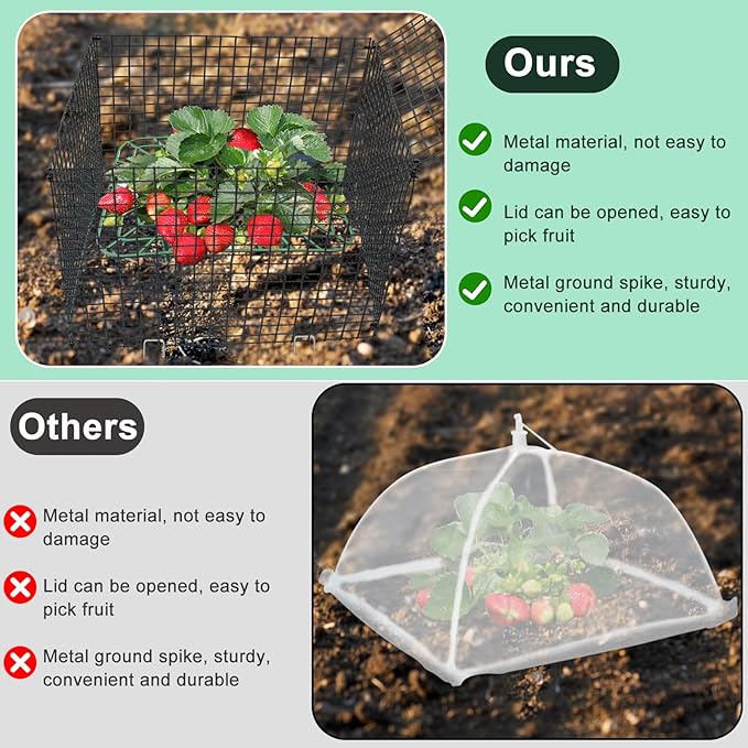 4 Sets Upgraded Strawberry Supports with Wire Plant Protectors from Animal 12x12Inch Sturdy Metal Wire Plant Cages Mesh Plant Cover and Strawberry Growing Racks Planting Stand for Garden Strawberry