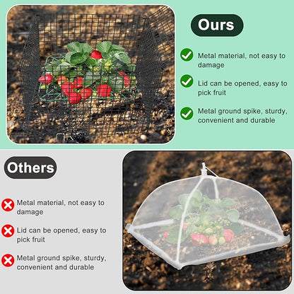 4 Sets Upgraded Strawberry Supports with Wire Plant Protectors from Animal 12x12Inch Sturdy Metal Wire Plant Cages Mesh Plant Cover and Strawberry Growing Racks Planting Stand for Garden Strawberry