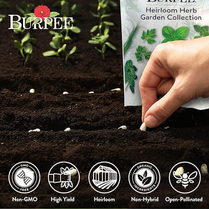 Burpee Heirloom Herb Seeds Variety Pack, Non-GMO, 16 Herbs - 15,000+ Seeds with Basil, Chives, Catnip, Chamomile, Cilantro, Dill, Lavender, Oregano, Parsley, Rosemary, Spearmint, Sage, Tarragon, Thyme