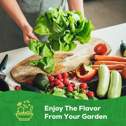 10 Vegetable Seeds Pack - Heirloom - Basil, Snap Pea, Broccoli, Bean, Jalapeño Pepper, Tomato, Lettuce, Cucumber, Carrot, Zucchini Seeds for Planting Home Garden