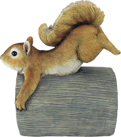 CRASH THE SQUIRREL RAIN GUTTER