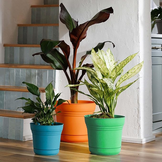 Bloem Saturn 12" Mint Green Round Resin Planter Pot with Snap-in Saucer for Indoor and Outdoor Gardening