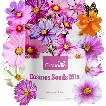 Groundio 7 Varieties Cosmos Seeds Mix, 1 Ounce Over 5000+ Crazy Blend Cosmo Flowers Seed for Planting, Open Pollinated, Non-GMO, Heirloom (Daydream, Gloria, Picotee, Purity, Radiance, Pinkie, Sulphur)