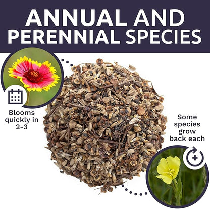 Texas Oklahoma Wildflower Seeds Mixture - Bulk 1/4 Pound Bag - Over 60,000 Native Seeds - Open Pollinated and Non GMO