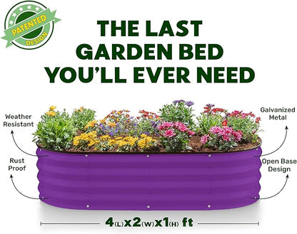 Plant & Plot Galvanized Raised Garden Beds Outdoor // 4×2×1 ft (2-Pack) Planter Raised Beds for Gardening, Vegetables, Flowers // Large Metal Garden Box (Purple) // Patented Tool-Free Design