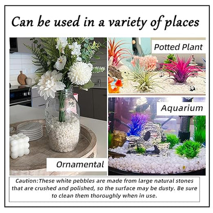 2.4lb 1/4" Small White Rocks for Plants,Potting,Succulents Aquarium Fish Tank Garden Vases Decorative Pebbles Gravel Rocks Stones