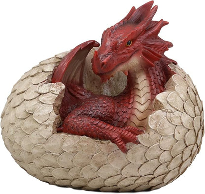 Ebros Large Smaug Red Baby Dragon Hatchling in Egg Statue 9.5" Long Dungeons Dragons Legends Fantasy Home and Garden Accent Decor Sculpture Medieval Renaissance Figurine Centerpiece