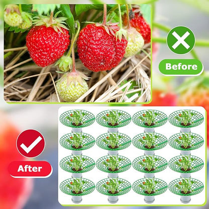 30 Packs Strawberry Supports Strawberry Growing Frame Strawberry Plant Support Plant Protectors Strawberry Trellis Growing Racks Plant Stand with 3 Sturdy Legs for Garden Strawberry Planting