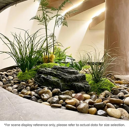 SIDONG 20 LB Mixed River Rocks, 0.4-1.2 Inches Highly Polished Pebbles for Indoor Plants, Decorative Stones for Plants, Fish Tank, Vases, Home Décor, Crafting, Garden Landscaping